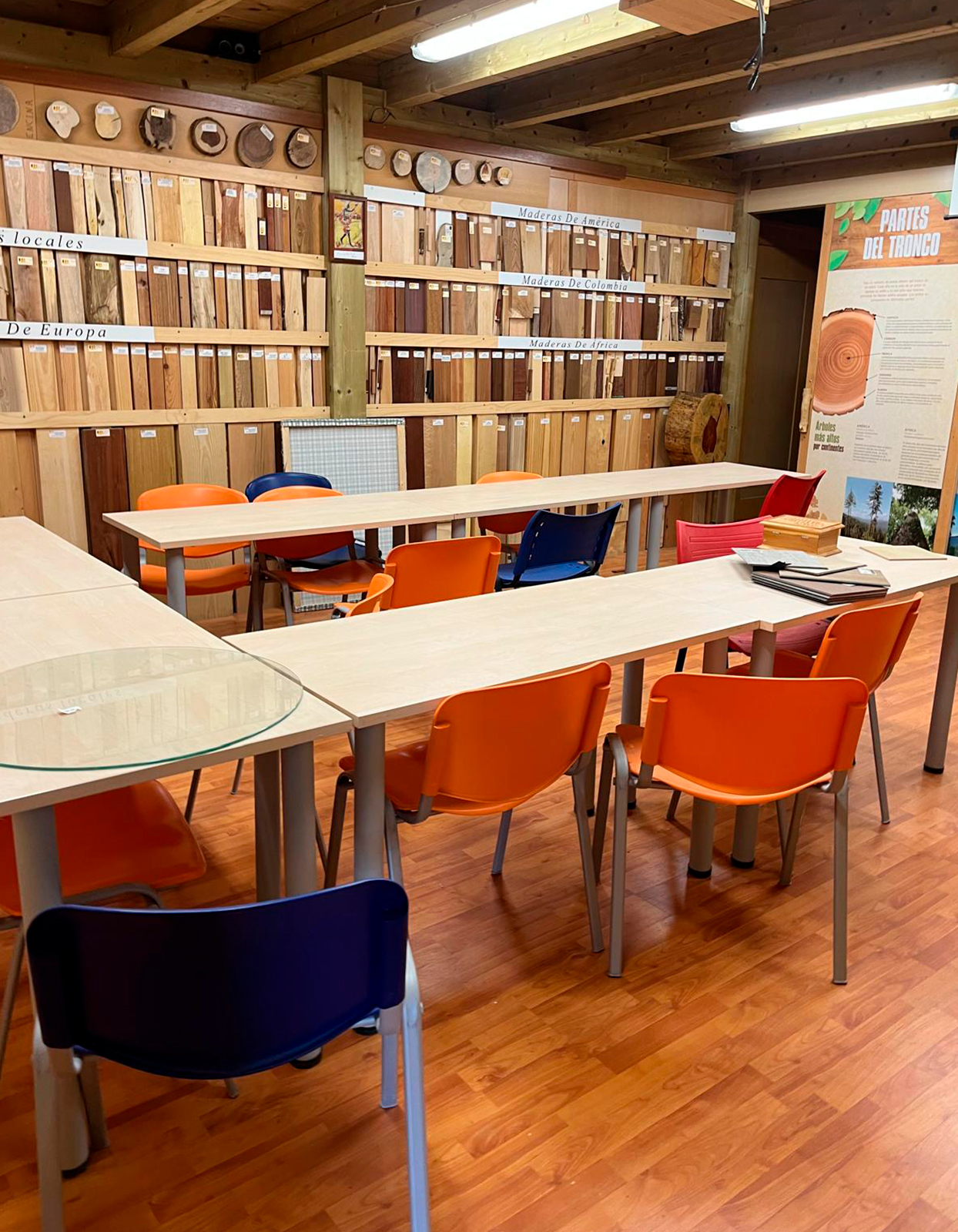 Xiloteca Jurado Almonte